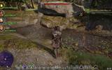 Dragonageinquisition_2014-12-10_17-08-04-70